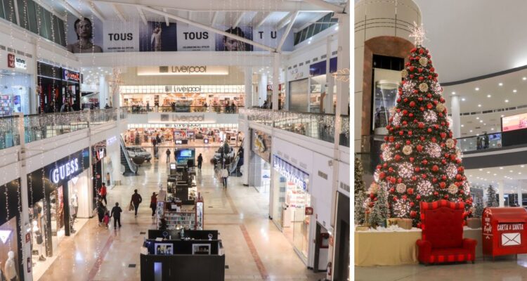 Fashion Mall Chihuahua