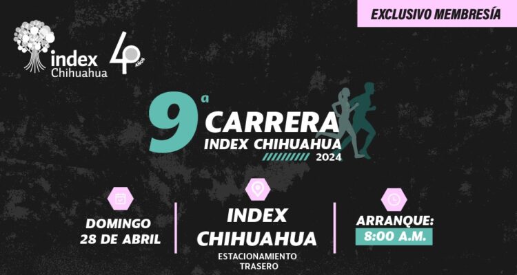 ¡Todos a correr con Index!