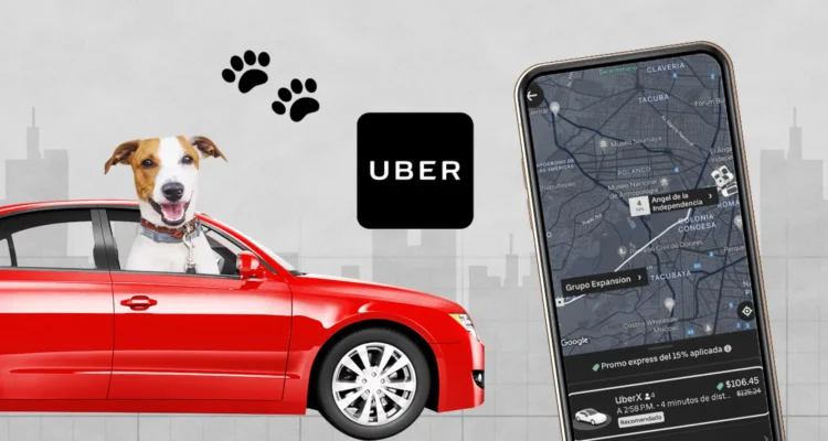 Ya podrás transportar a tus michis y lomitos en Uber