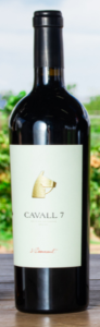 Cavall 7