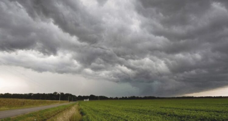 Necesarias más lluvias para que sobreviva el campo: UGRCh