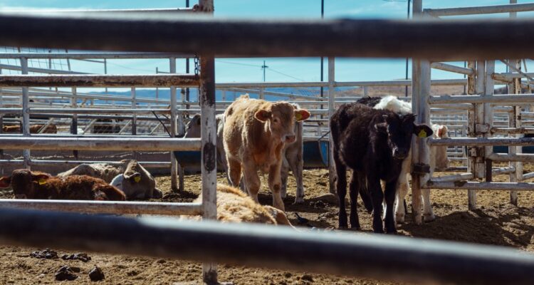 Avala USDA instalaciones de San Jerónimo