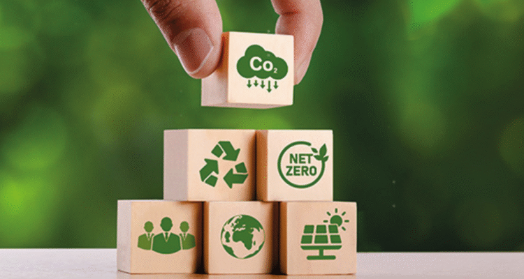 Descarbonización con propósito