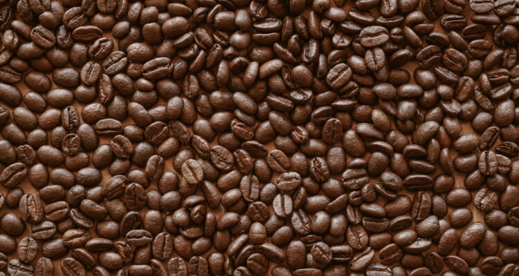 TIPOS DE GRANOS DE CAFÉ