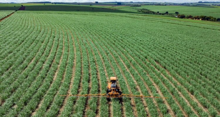 Chihuahua aporta 3.6% de la producción agrícola nacional